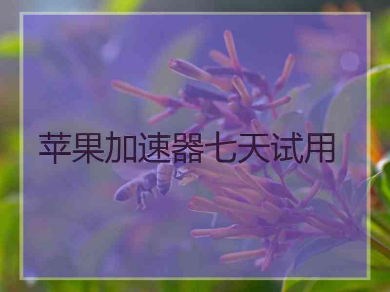 苹果加速器七天试用