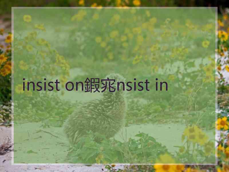 insist on鍜宨nsist in