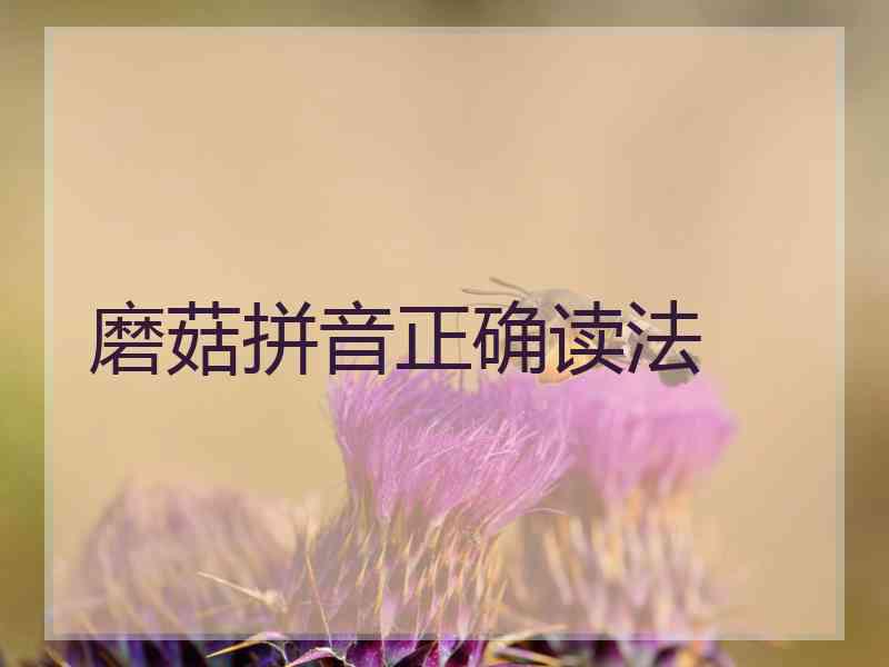 磨菇拼音正确读法