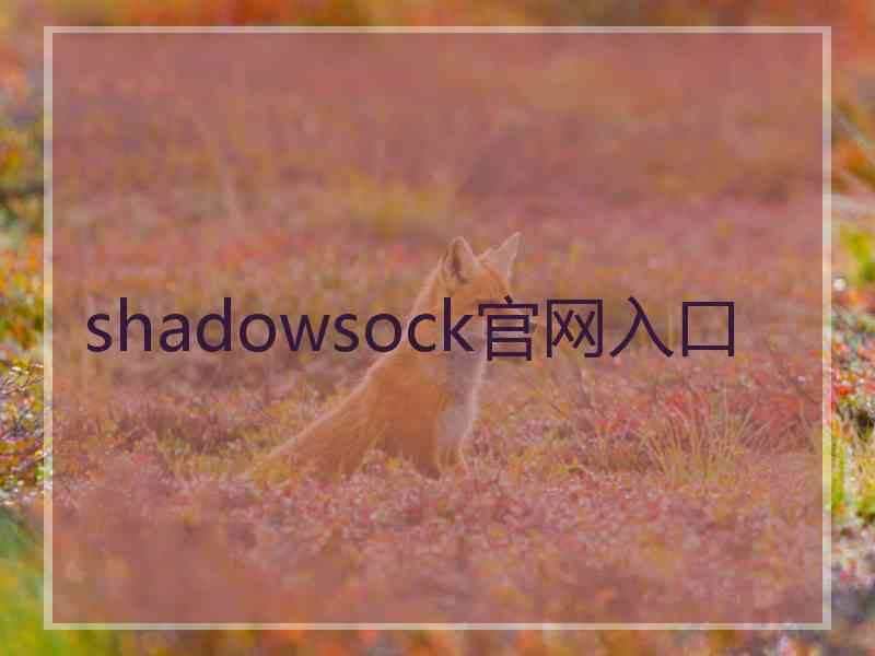 shadowsock官网入口