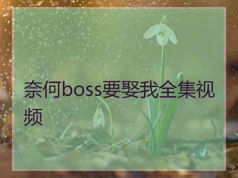 奈何boss要娶我全集视频