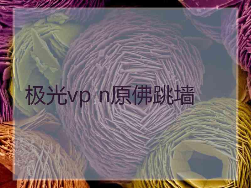 极光vp n原佛跳墙