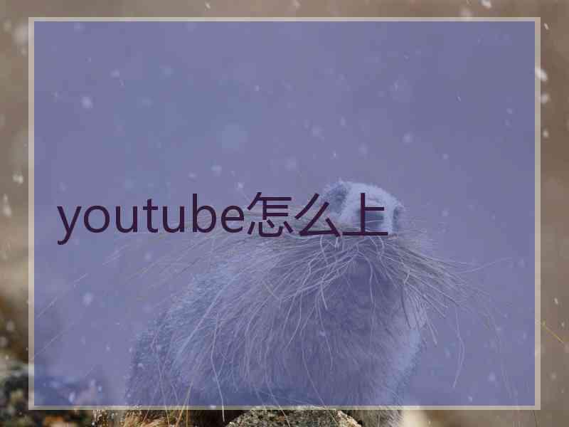 youtube怎么上