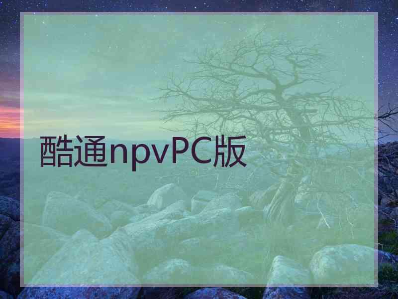 酷通npvPC版