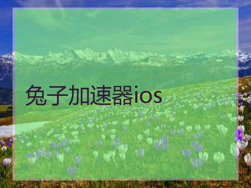 兔子加速器ios