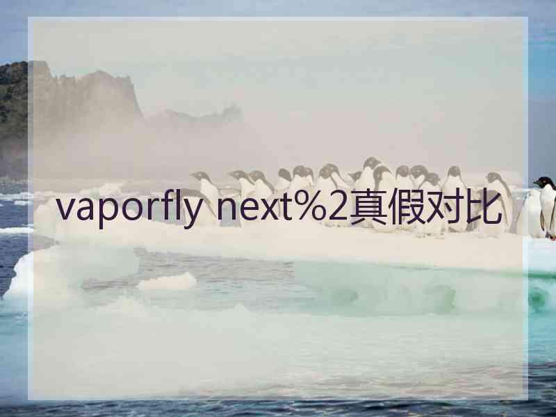 vaporfly next%2真假对比