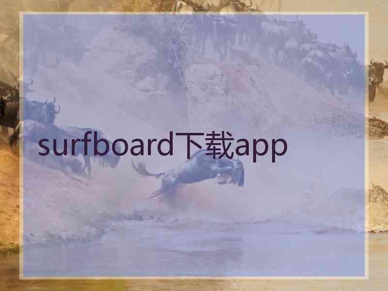 surfboard下载app