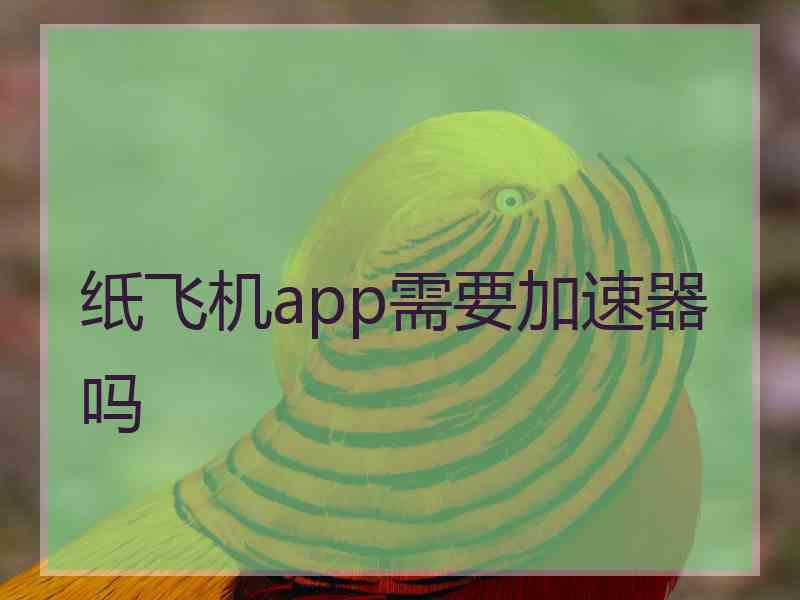 纸飞机app需要加速器吗