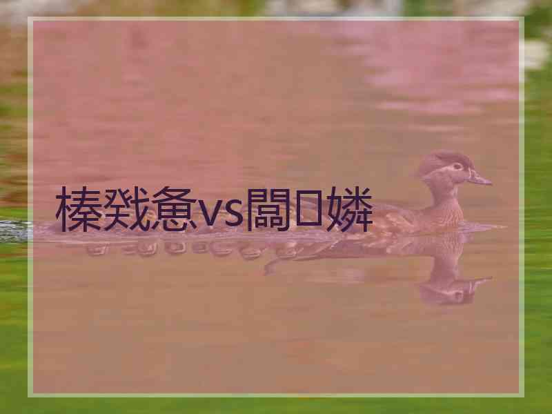 榛戣惫vs闆嫾