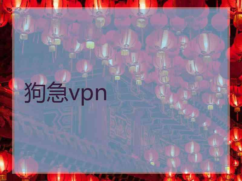 狗急vpn