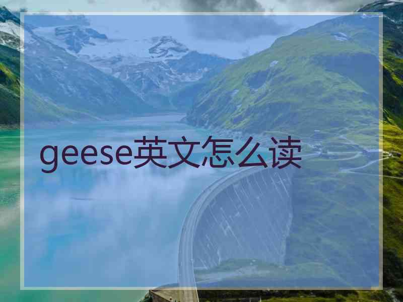 geese英文怎么读