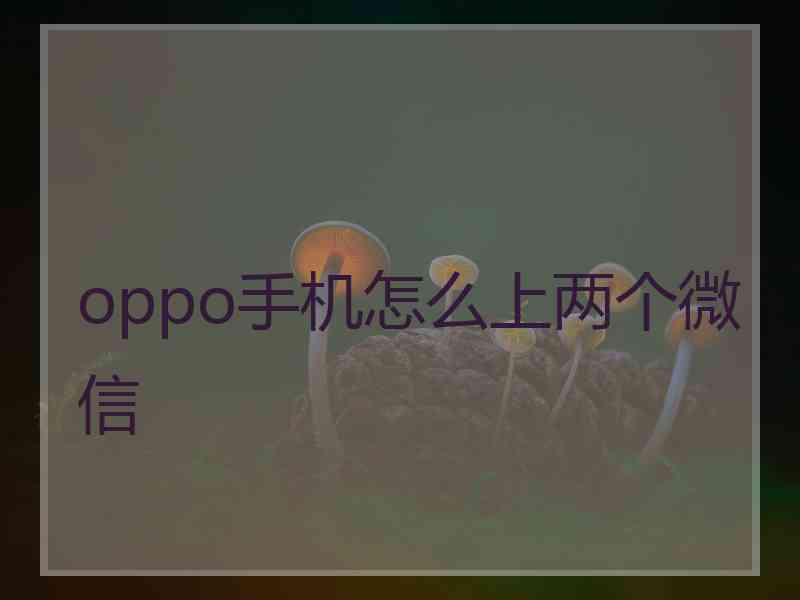 oppo手机怎么上两个微信