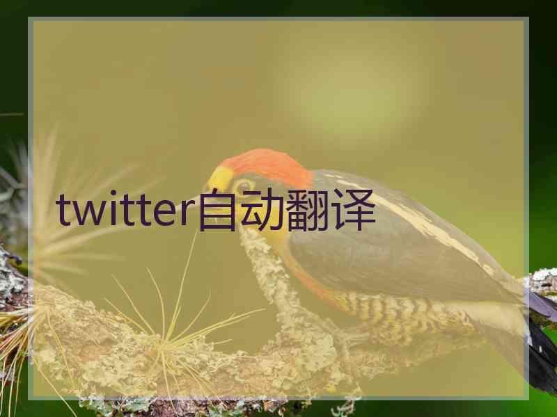 twitter自动翻译