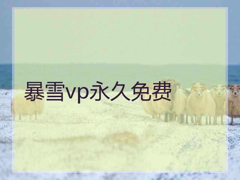 暴雪vp永久免费