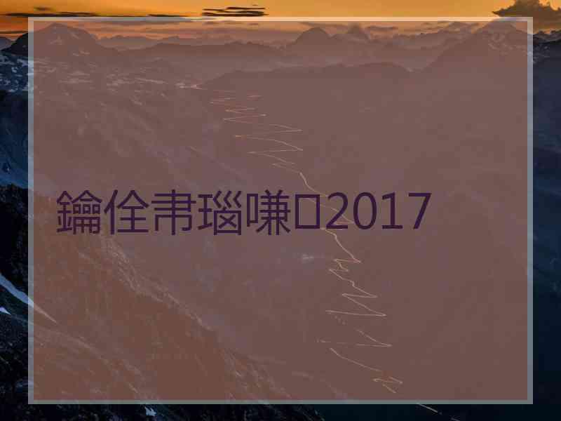 鑰佺帇瑙嗛2017