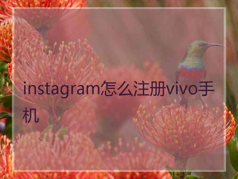 instagram怎么注册vivo手机