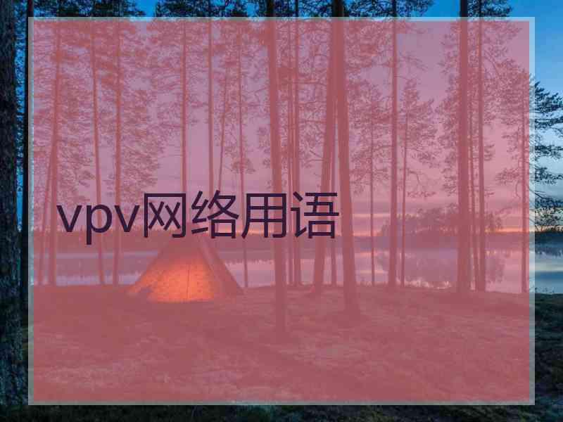 vpv网络用语