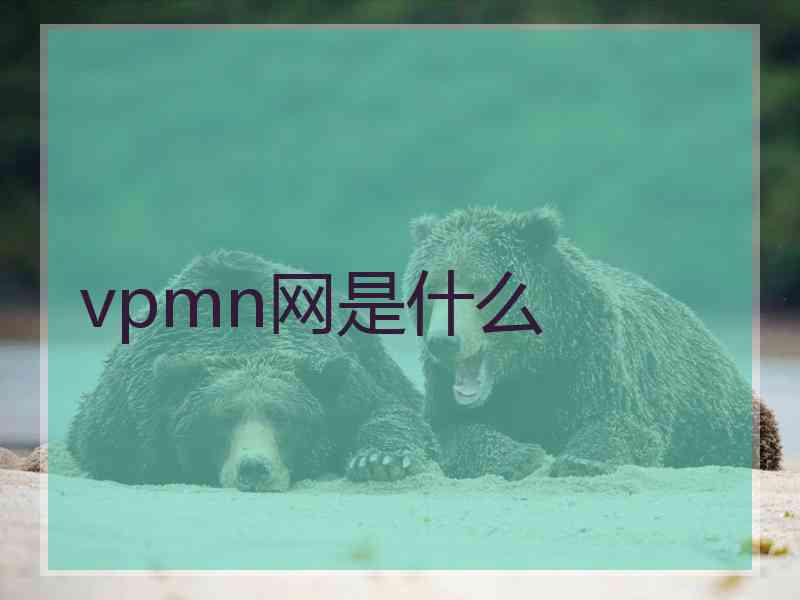 vpmn网是什么