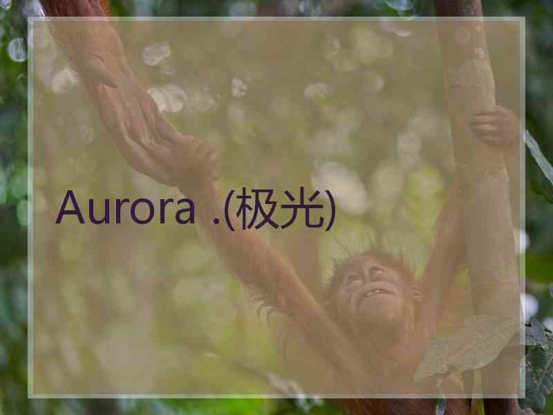 Aurora .(极光)