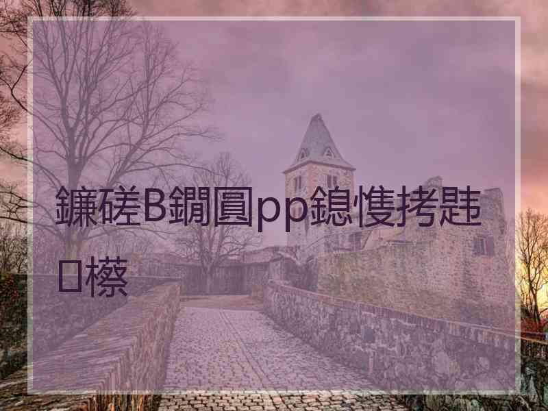 鐮磋В鐗圓pp鎴愯拷韪櫒