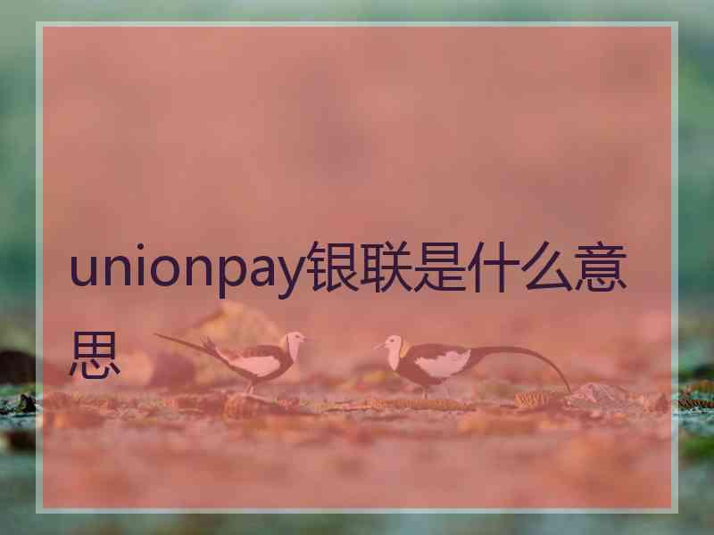 unionpay银联是什么意思