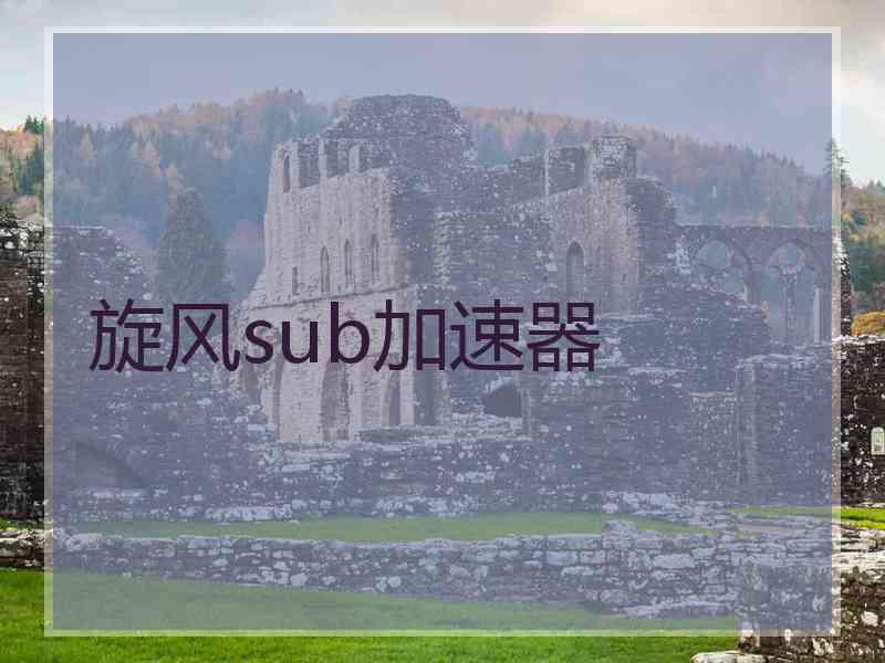 旋风sub加速器