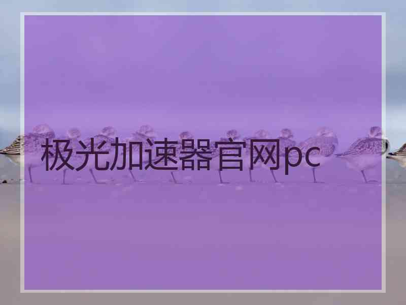 极光加速器官网pc