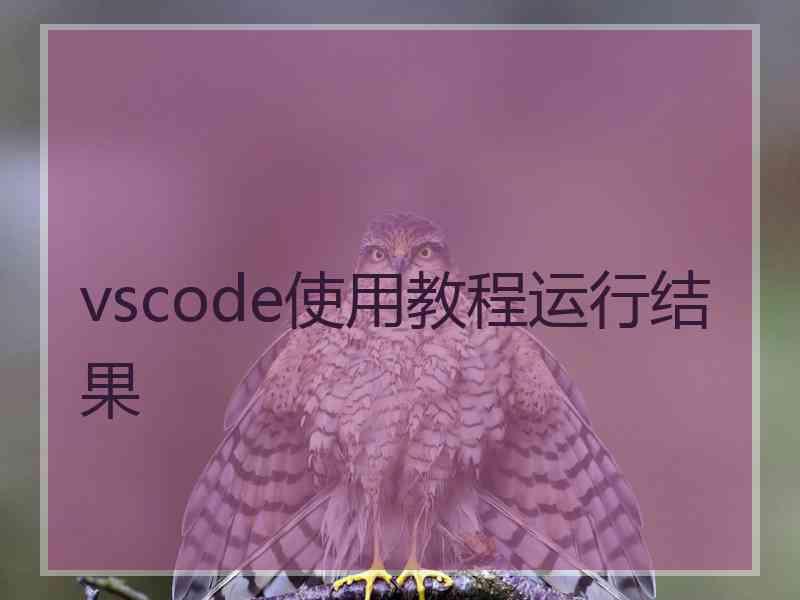 vscode使用教程运行结果