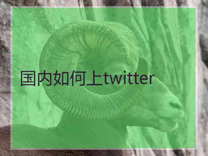 国内如何上twitter