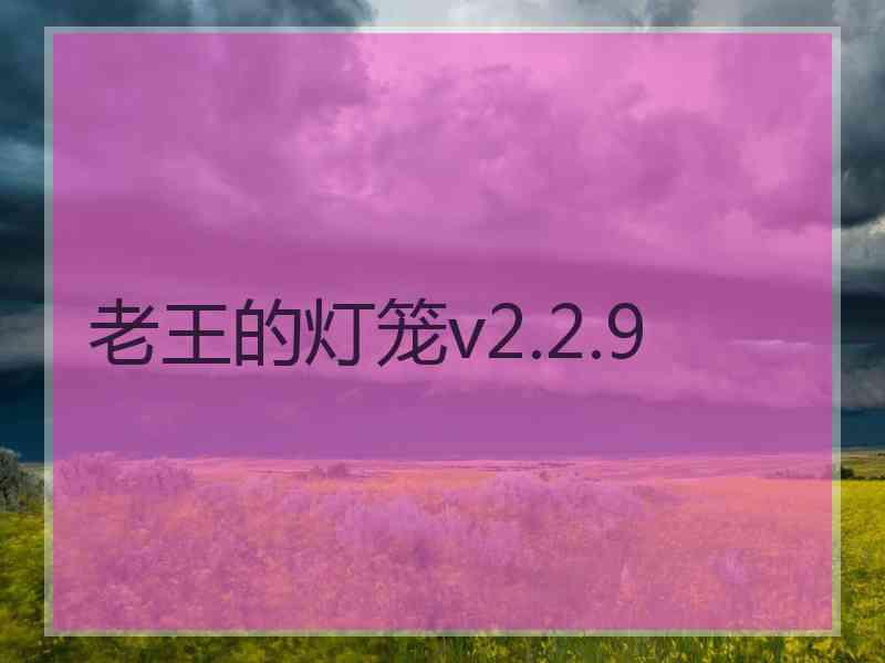 老王的灯笼v2.2.9