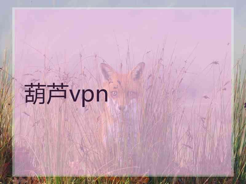 葫芦vpn