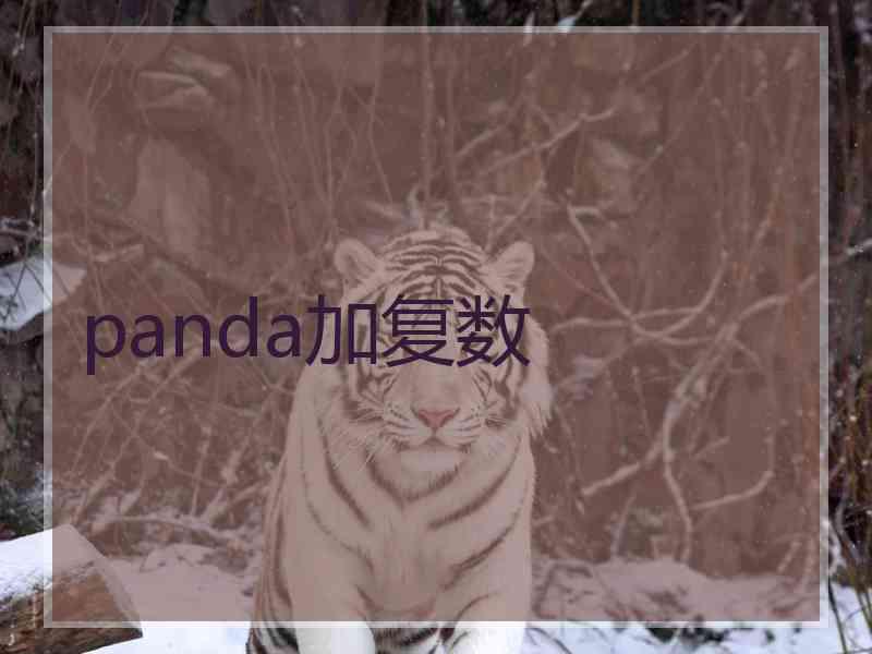 panda加复数