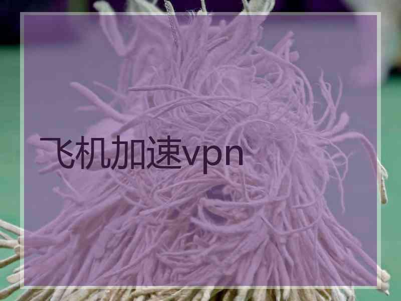 飞机加速vpn