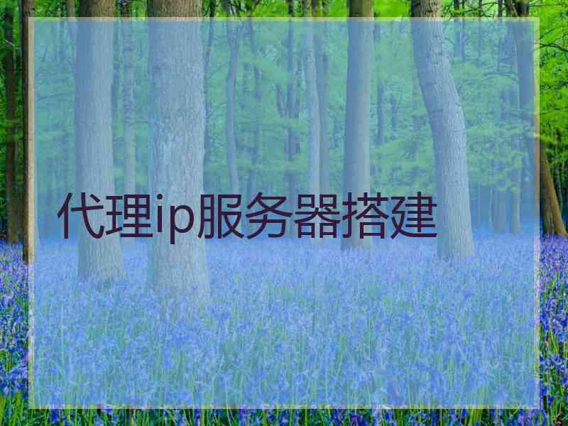 代理ip服务器搭建