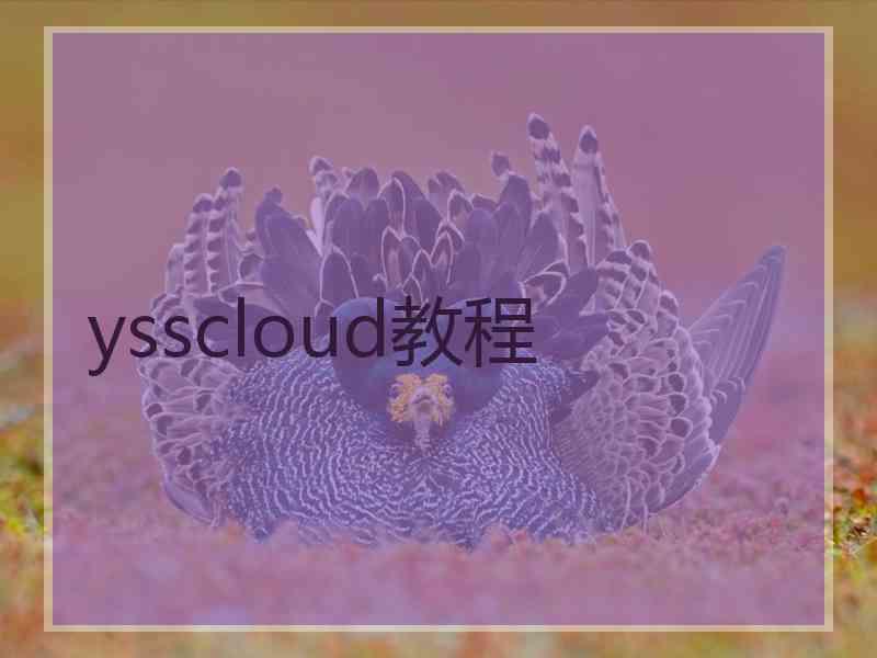 ysscloud教程