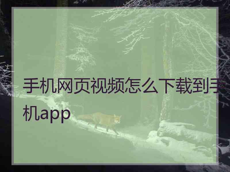 手机网页视频怎么下载到手机app