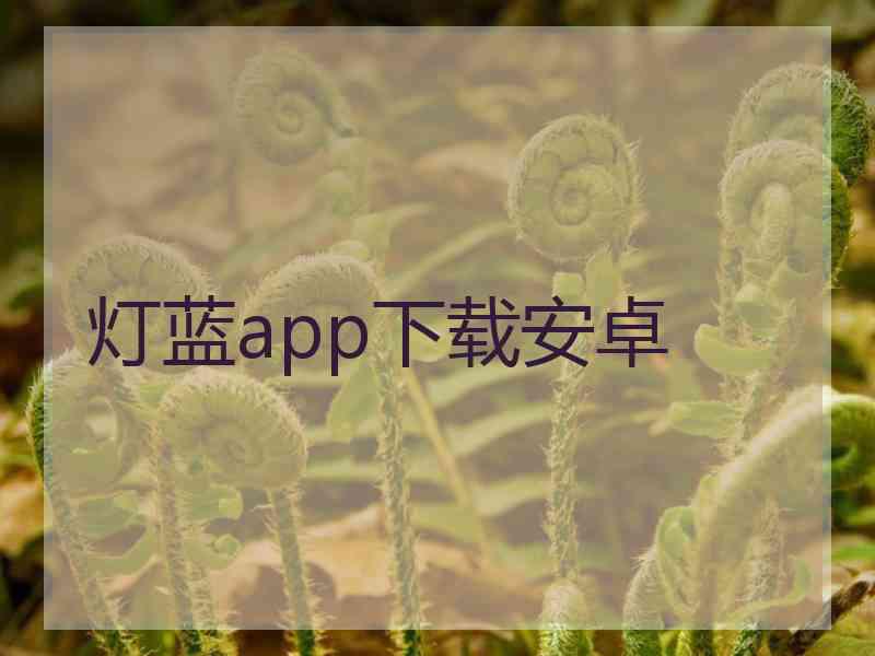 灯蓝app下载安卓