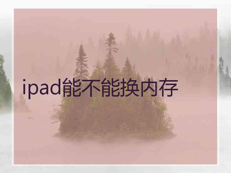 ipad能不能换内存