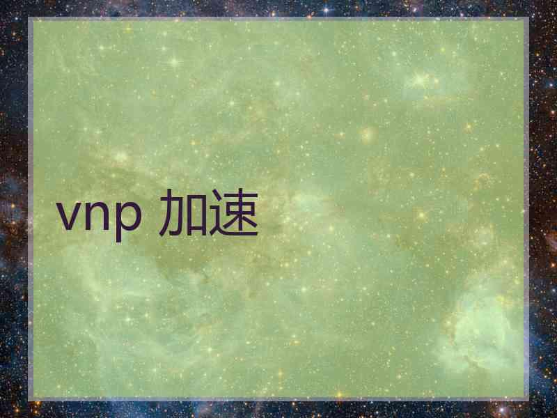 vnp 加速