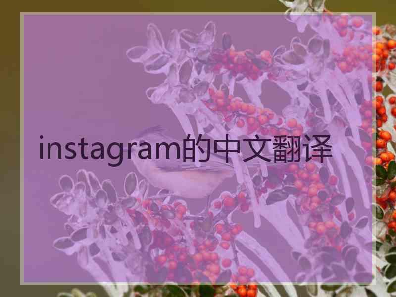 instagram的中文翻译