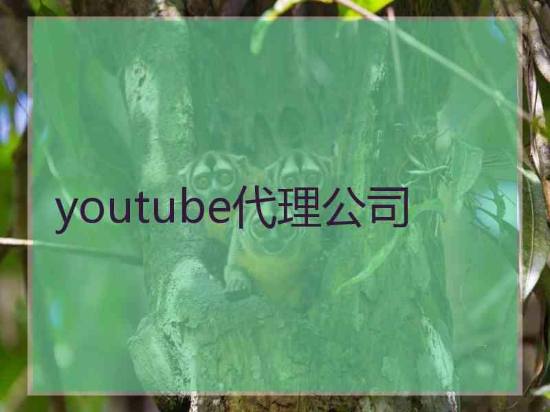 youtube代理公司