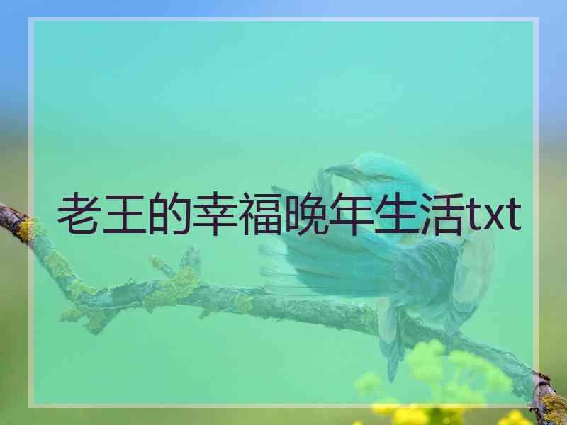 老王的幸福晚年生活txt