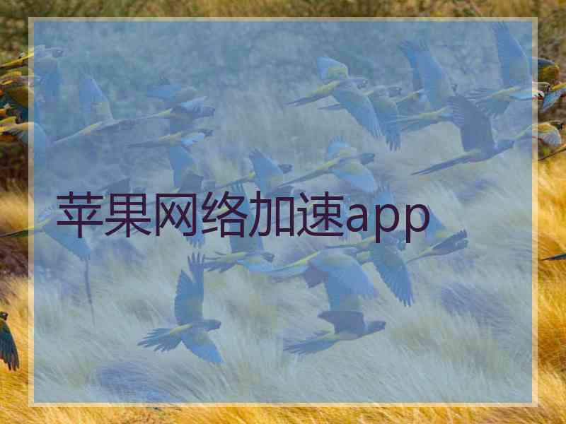 苹果网络加速app