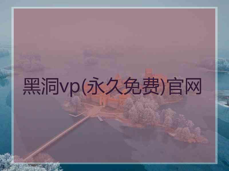 黑洞vp(永久免费)官网