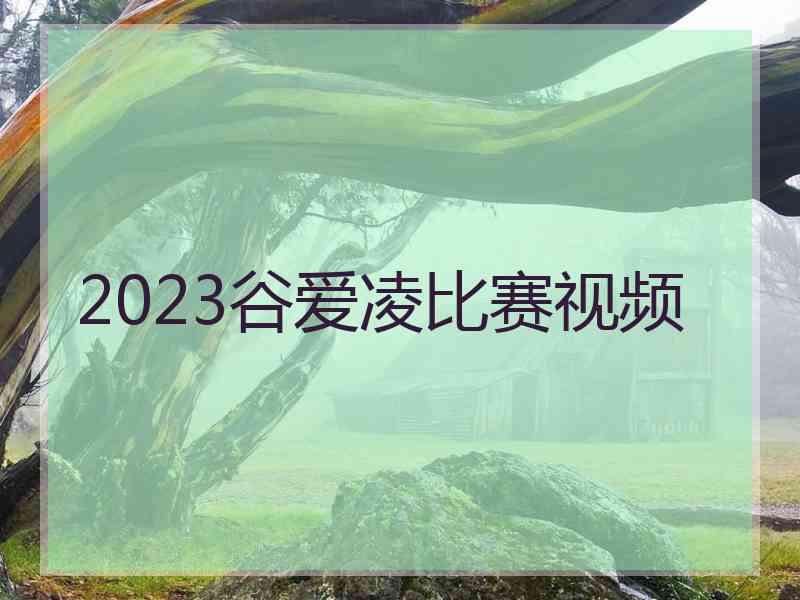 2023谷爱凌比赛视频