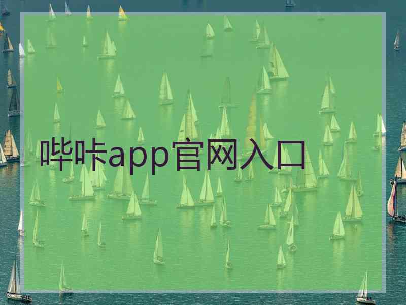 哔咔app官网入口