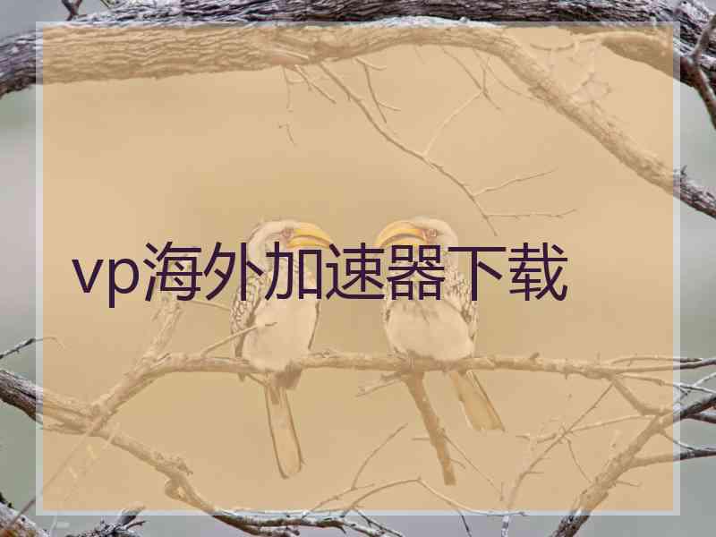 vp海外加速器下载