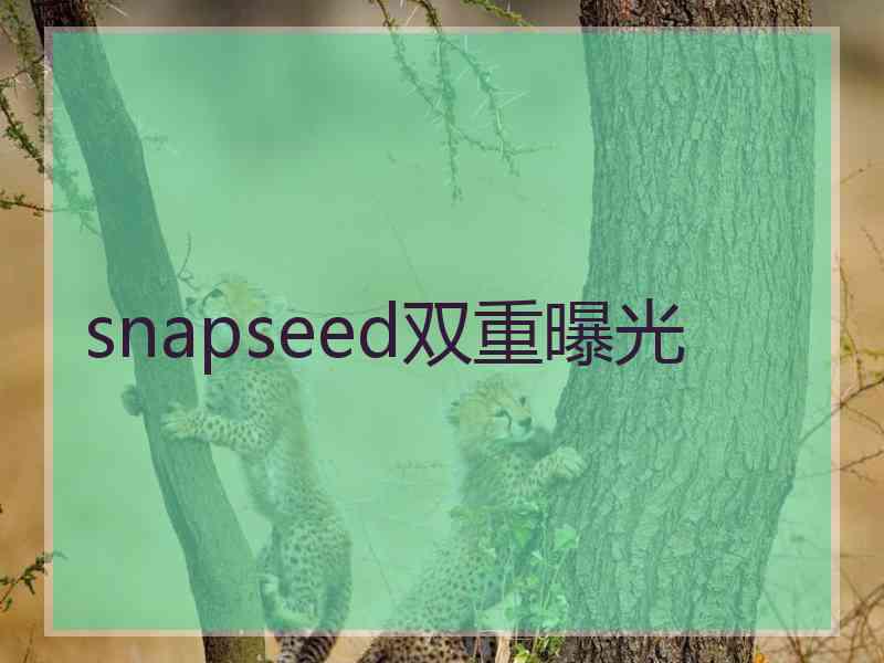 snapseed双重曝光