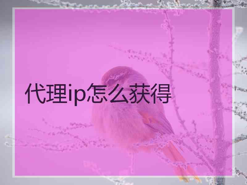 代理ip怎么获得