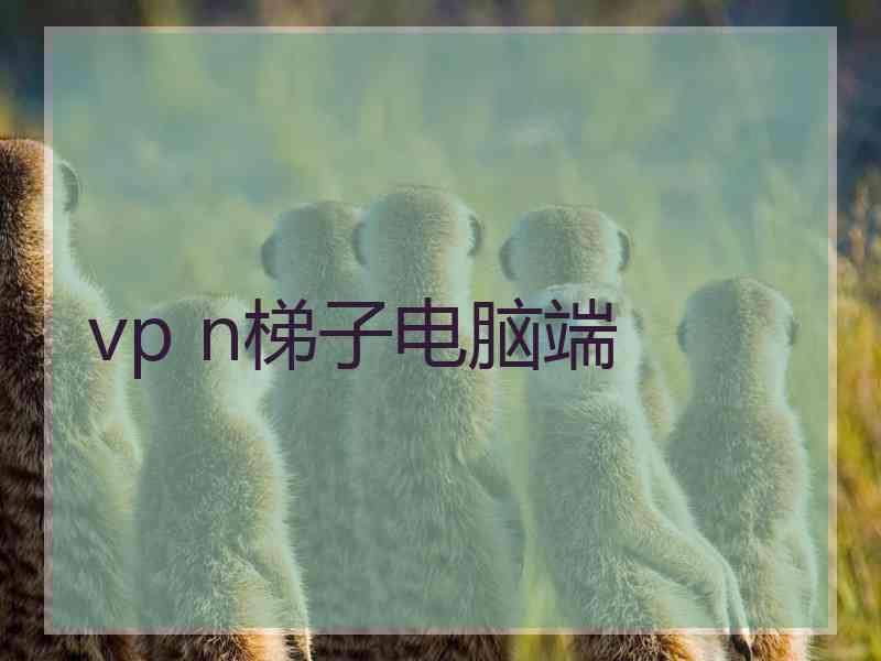 vp n梯子电脑端